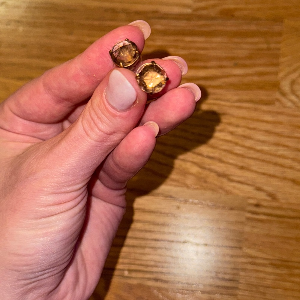 Elegant J. Crew Brown Stud Earrings